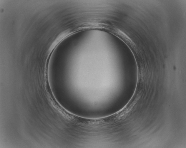 X0000078261378200611031152