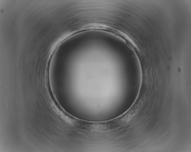 X0000078261379200611031152