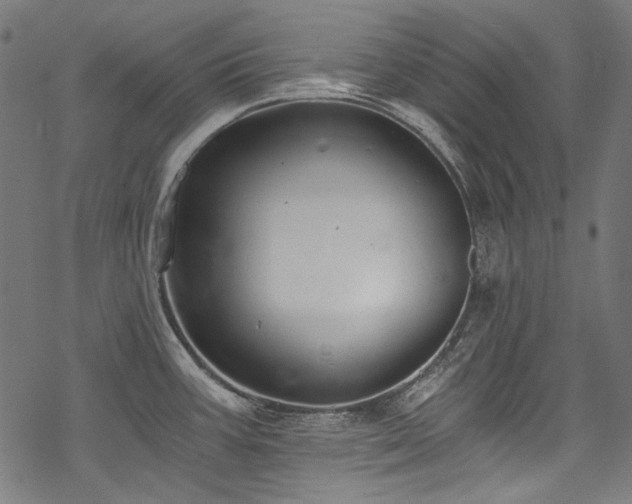 X0000078261387200611031151