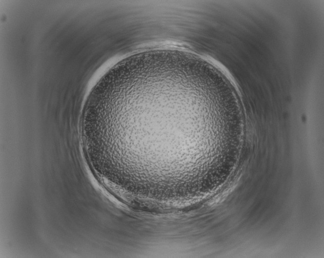 X0000078261389200611031151