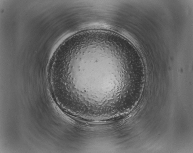 X0000078261392200611031151