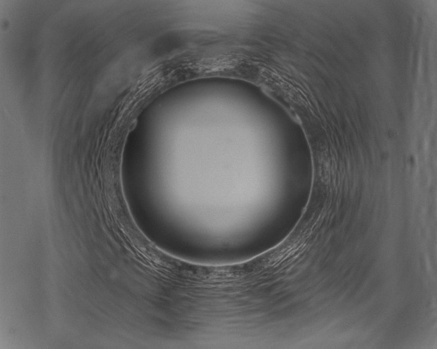 X0000078261393200611031151