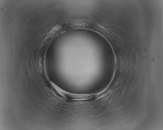 X0000078261394200611031151
