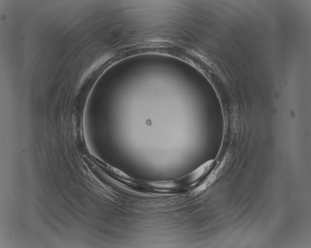 X0000078261402200611031151