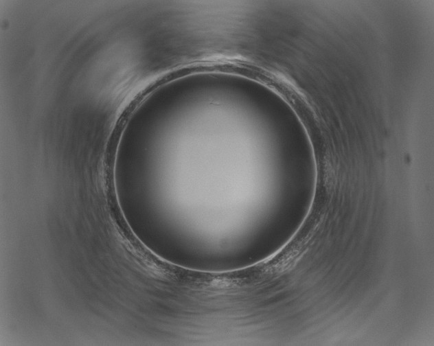 X0000078261412200611031151