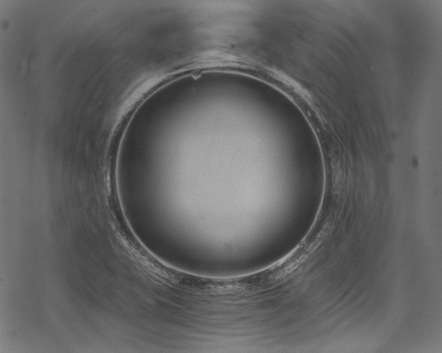 X0000078261415200611031151