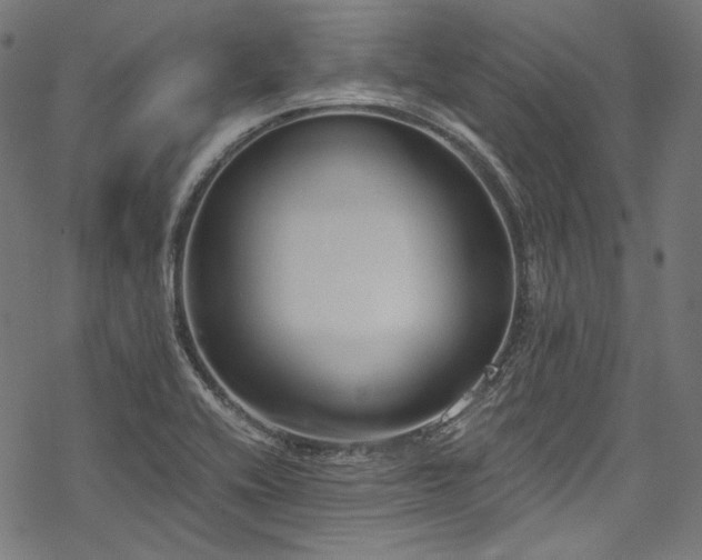 X0000078261416200611031151