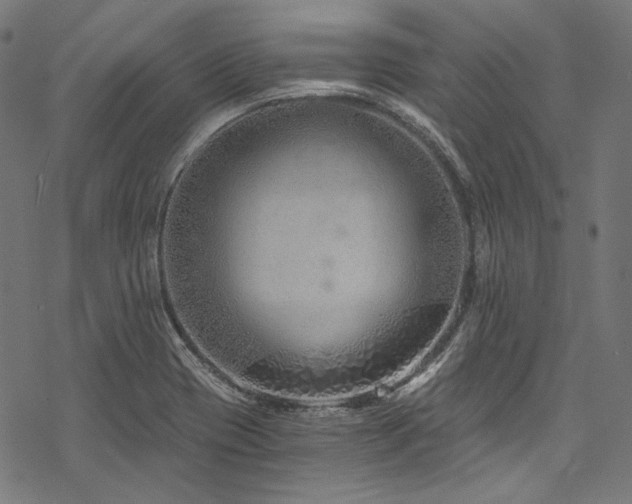 X0000078261417200611031151