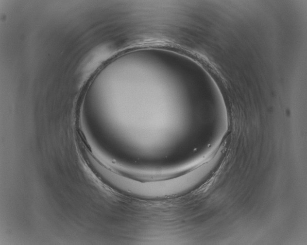 X0000078261422200611031151