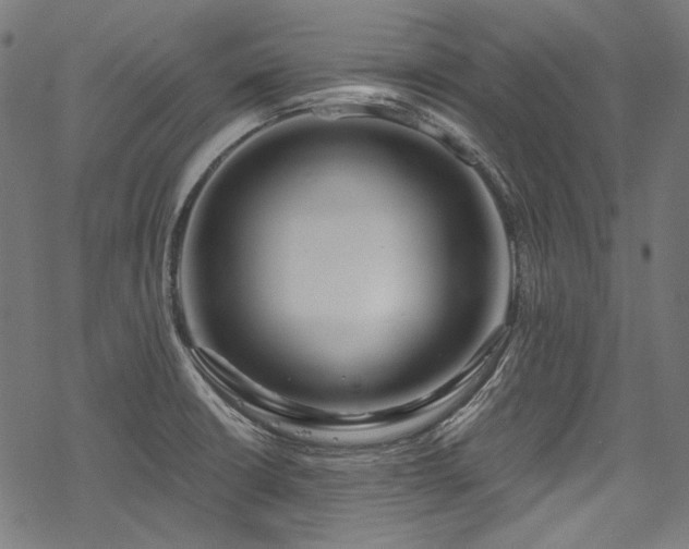 X0000078261426200611031151