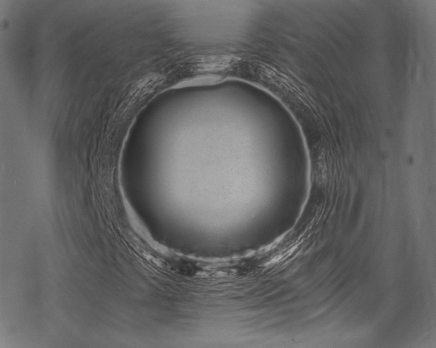 X0000078261441200611031151
