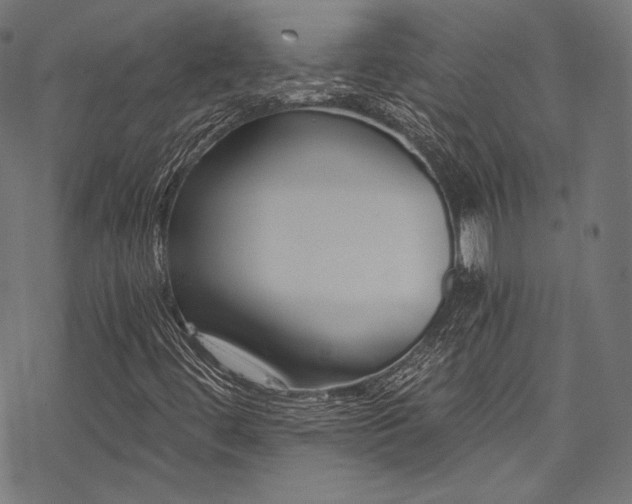 X0000078261444200611031150