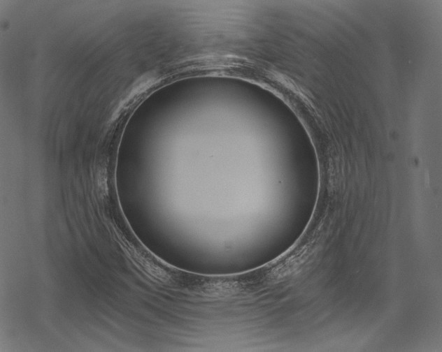 X0000078261451200611031150