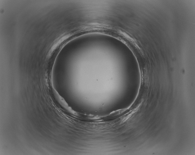 X0000078261453200611031150