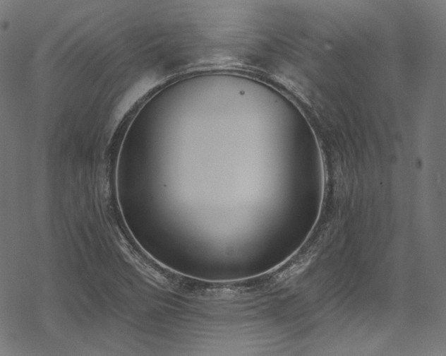 X0000078261458200611031150
