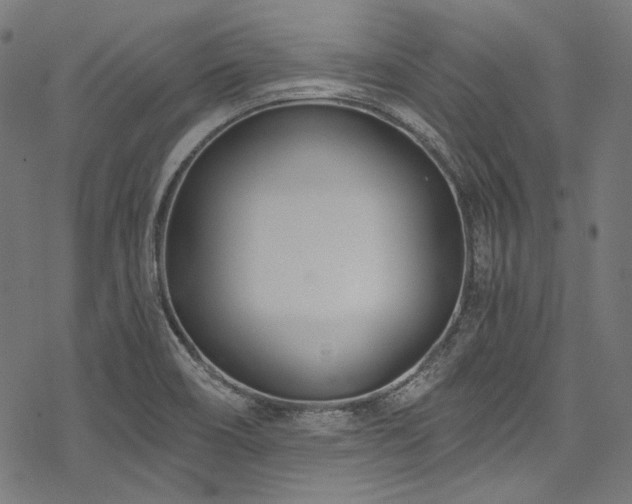X0000078261466200611031150