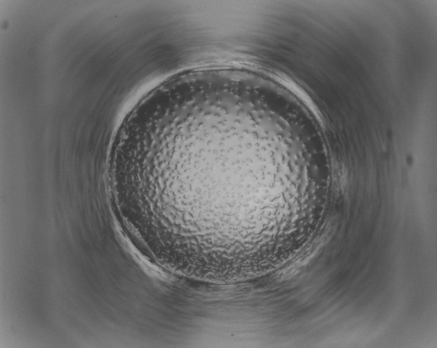 X0000078261485200611031150