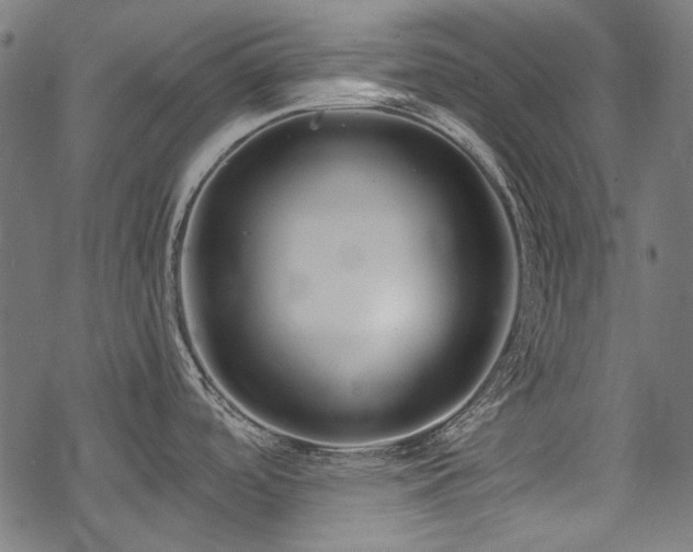 X0000078261488200611031150