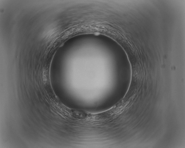 X0000078261490200611031149
