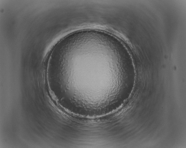 X0000078261504200611031149