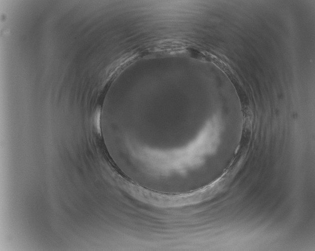 X0000078260047200611101046