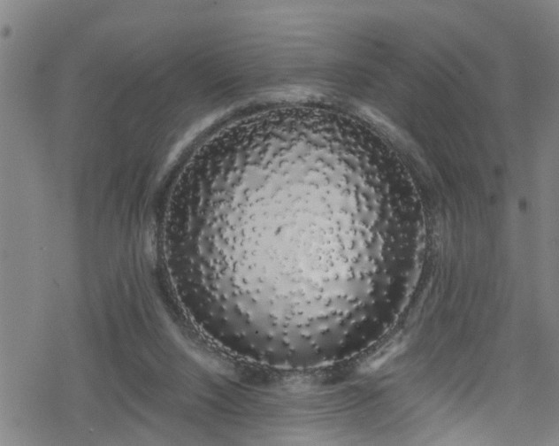 X0000078260064200611101045
