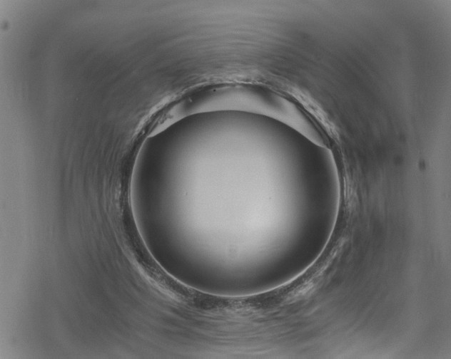X0000078260201200611101043