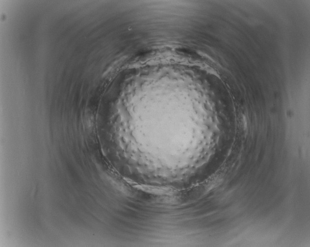 X0000078260276200611101043