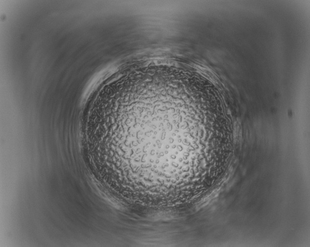 X0000078260293200611101042