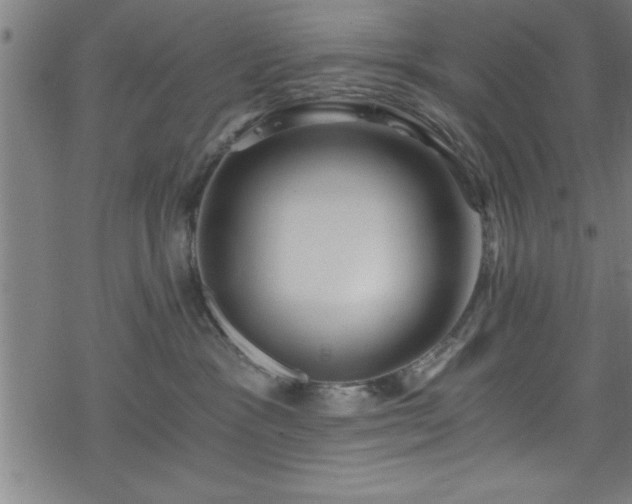 X0000078260333200611101041