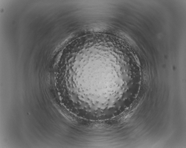 X0000078260401200611101040