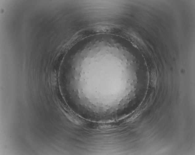 X0000078260413200611101040