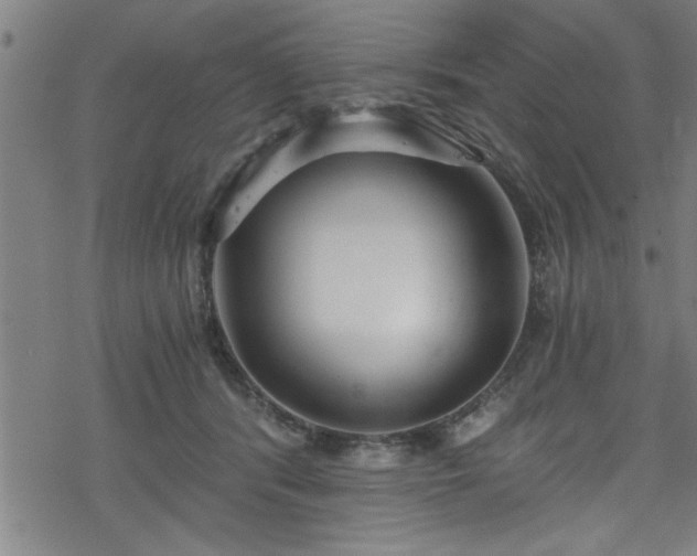 X0000078260416200611101040