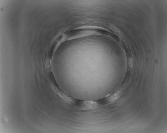 X0000078260429200611101040