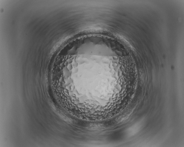 X0000078260487200611101039