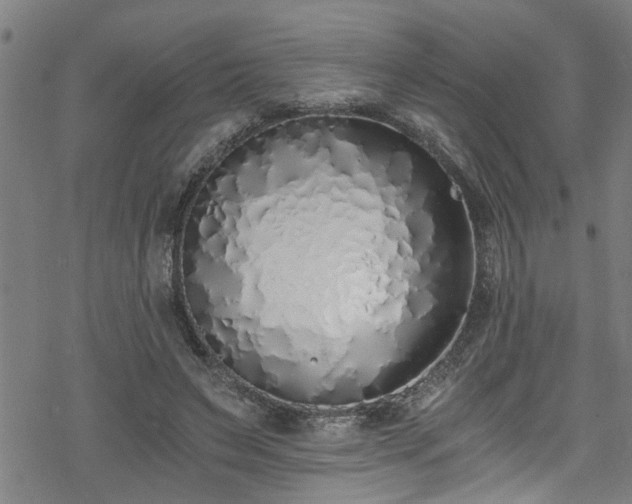 X0000078260495200611101039