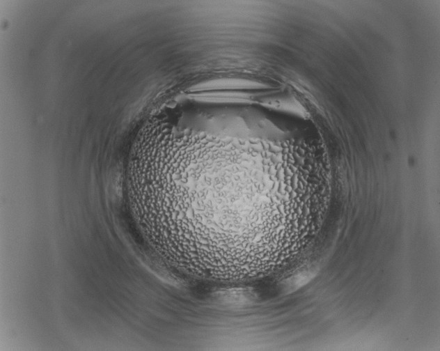 X0000078260499200611101039