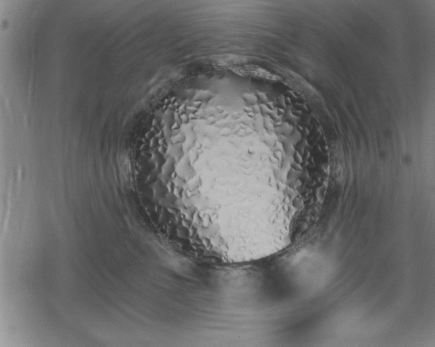 X0000078260523200611101038