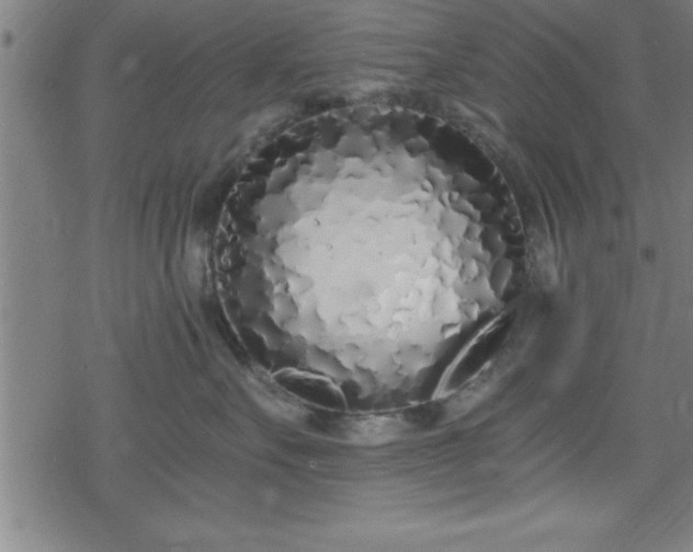 X0000078260527200611101038