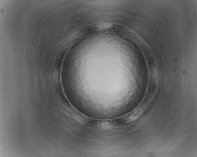 X0000078260565200611101038