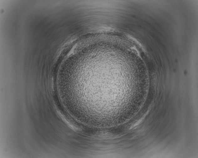 X0000078260589200611101037