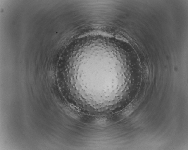 X0000078260609200611101037