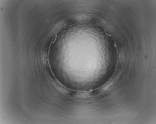 X0000078260671200611101037