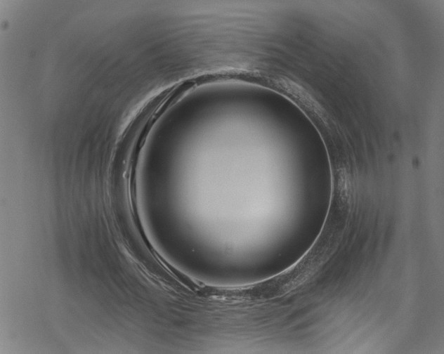 X0000078260676200611101036