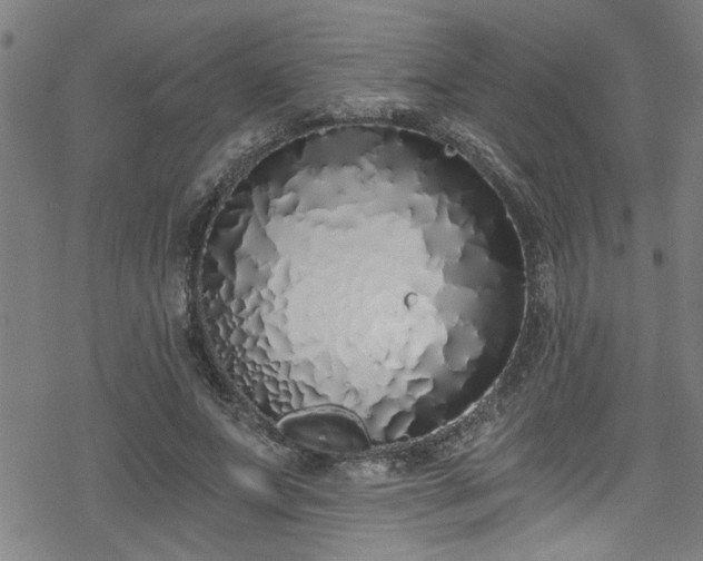 X0000078260687200611101036