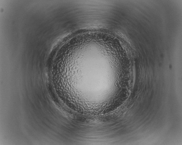 X0000078260688200611101036