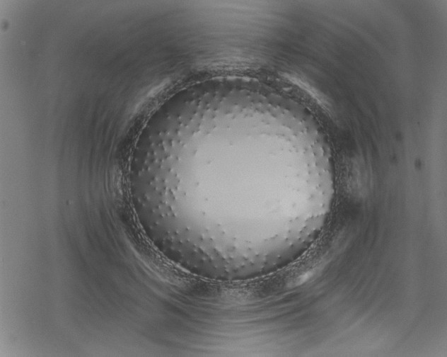 X0000078260692200611101035