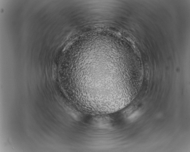 X0000078260712200611101035
