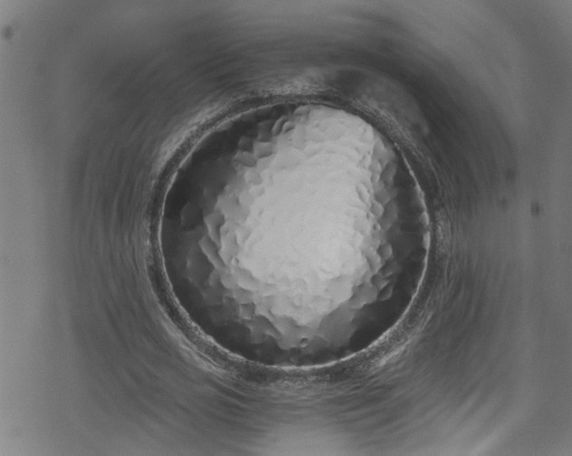 X0000078260725200611101034