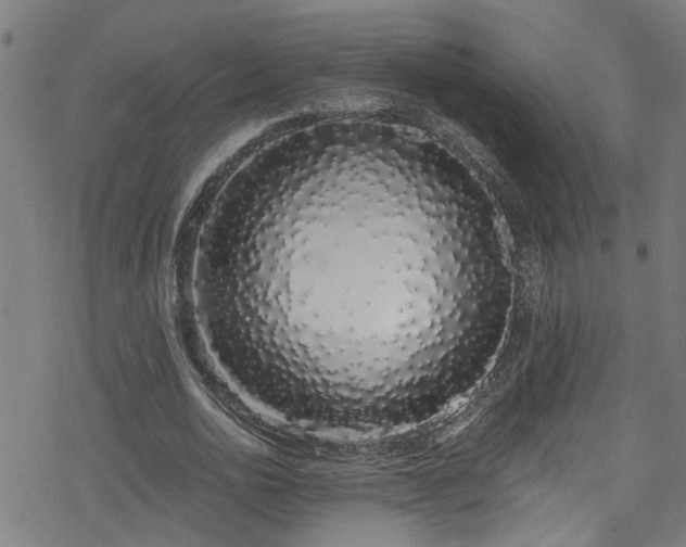 X0000078260726200611101034